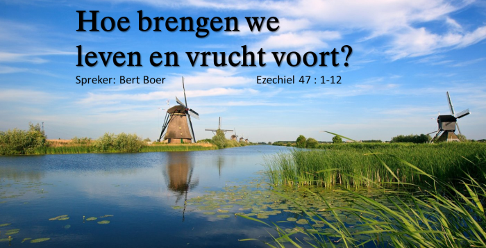 Hoe brengen we leven en vrucht voort?