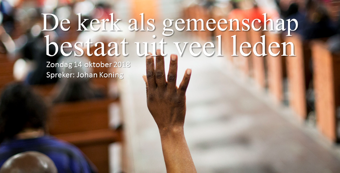 De kerk als gemeenschap bestaat uit veel leden